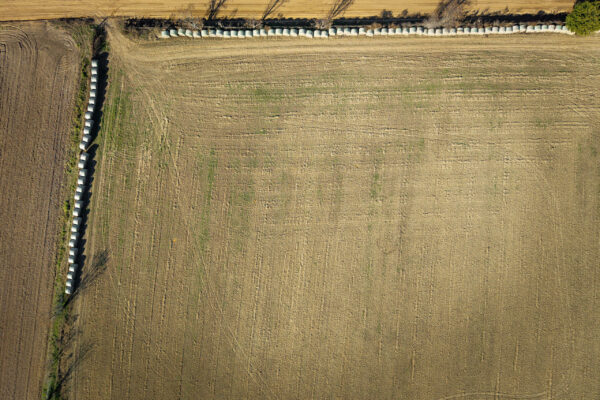 Irwin County GA Farm - Gallery Images - 3 Irwin County GA Farm - Gallery Images - 3