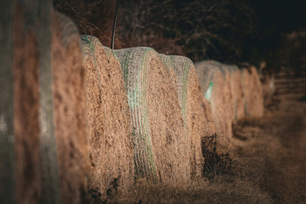 Irwin County GA Farm - Gallery Images - 30 Irwin County GA Farm - Gallery Images - 30