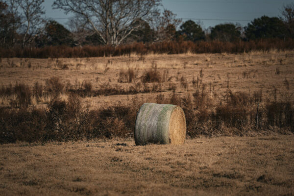 Irwin County GA Farm - Gallery Images - 33 Irwin County GA Farm - Gallery Images - 33
