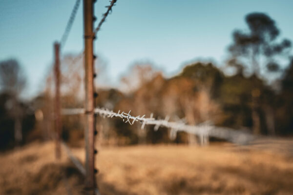 Irwin County GA Farm - Gallery Images - 34 Irwin County GA Farm - Gallery Images - 34