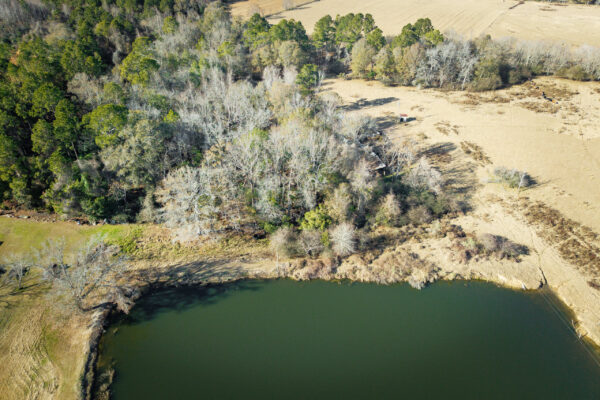 Irwin County GA Farm - Gallery Images - 6 Irwin County GA Farm - Gallery Images - 6