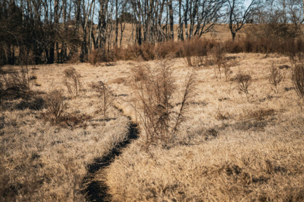 Irwin County GA Farm - Gallery Images - 9 Irwin County GA Farm - Gallery Images - 9