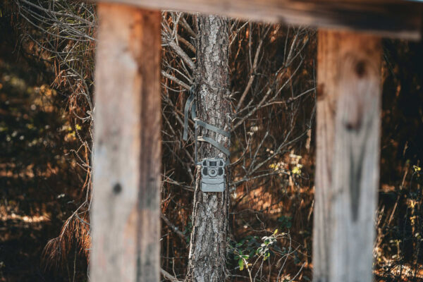 The West Dooly Farm - Gallery Images - 11 The West Dooly Farm - Gallery Images - 11