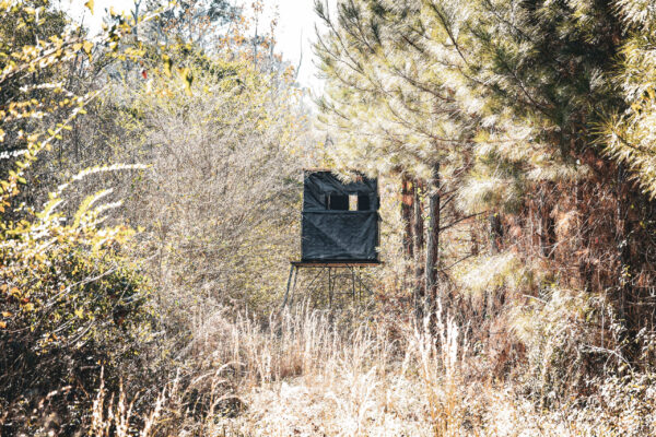 The West Dooly Farm - Gallery Images - 3 The West Dooly Farm - Gallery Images - 3
