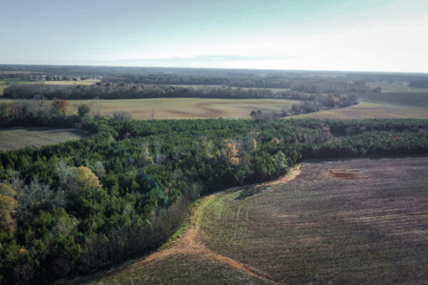 The West Dooly Farm - Gallery Images - 5 The West Dooly Farm - Gallery Images - 5