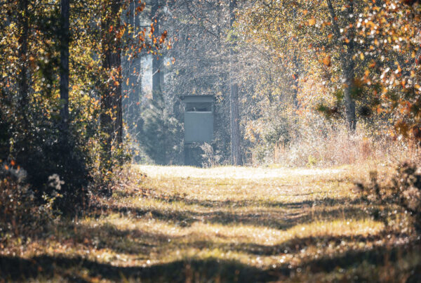 Worth Timber Tract