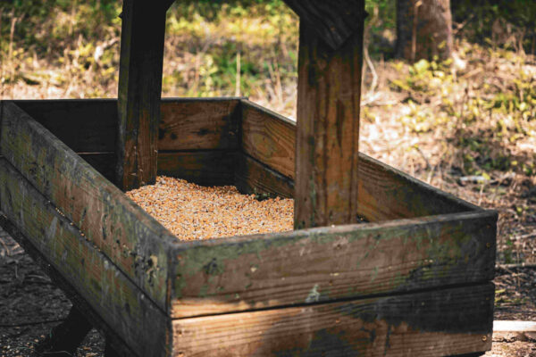Carters Mill 27_result Carters Mill 27_result