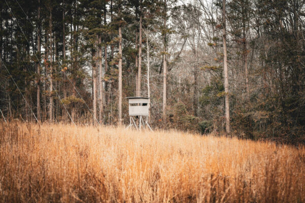 The Dobson Tract_Listing_Image_2 The Dobson Tract_Listing_Image_2