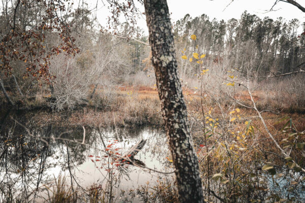 The Dobson Tract_Listing_Image_7 The Dobson Tract_Listing_Image_7