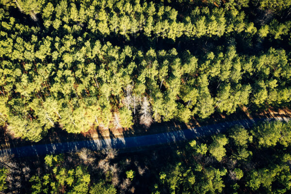 Iron Hill Timber - Bartow County GA - AcreSouth - 12 Iron Hill Timber - Bartow County GA - AcreSouth - 12