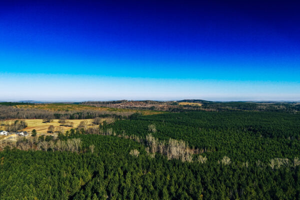 Iron Hill Timber - Bartow County GA - AcreSouth - 14 Iron Hill Timber - Bartow County GA - AcreSouth - 14