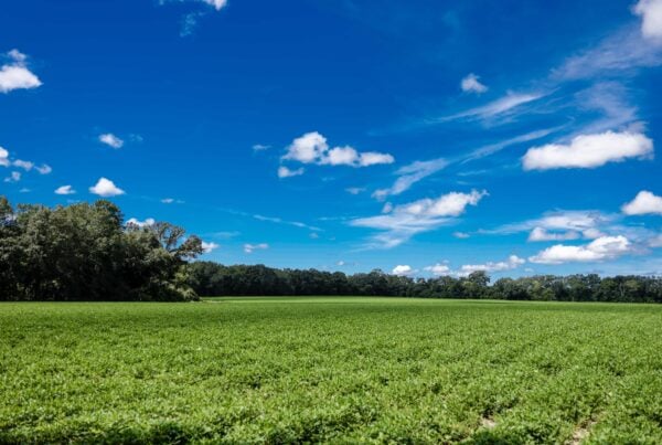 The Farm at River Road
